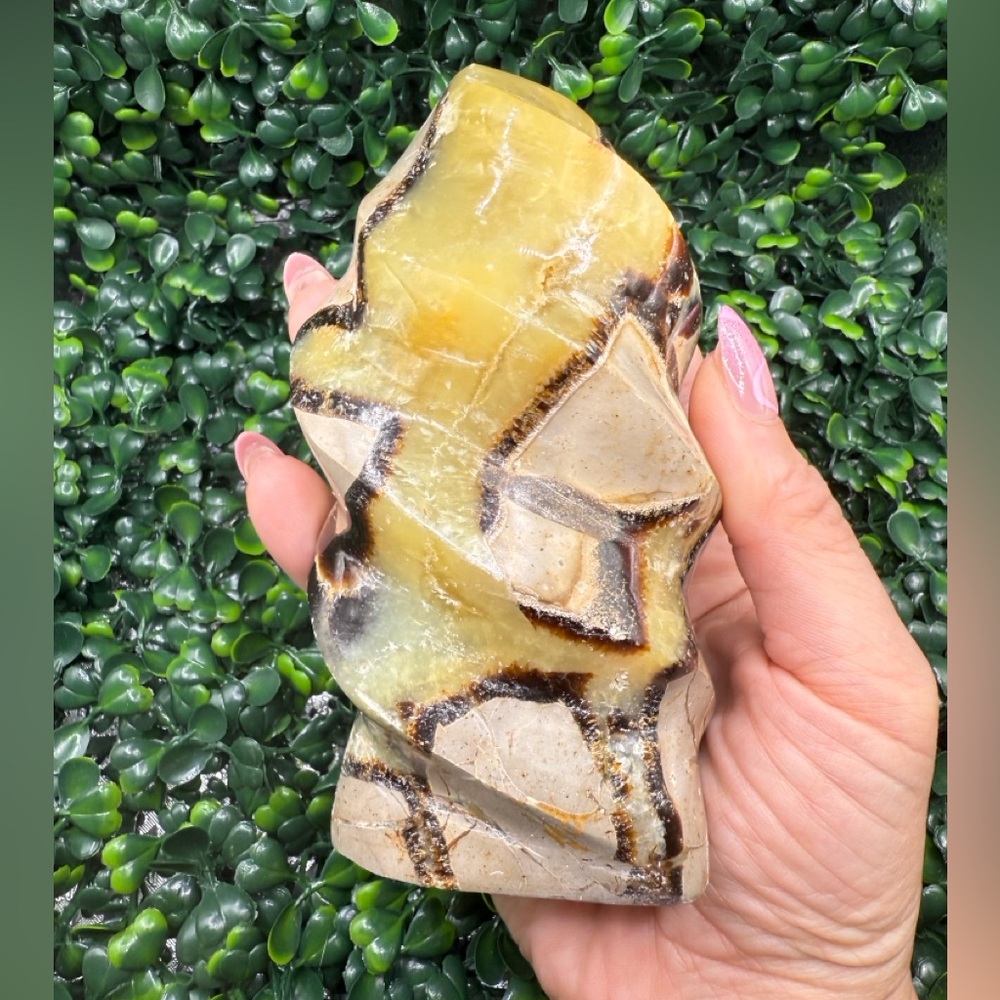 Large Septarian "Dragon Stone" Flame